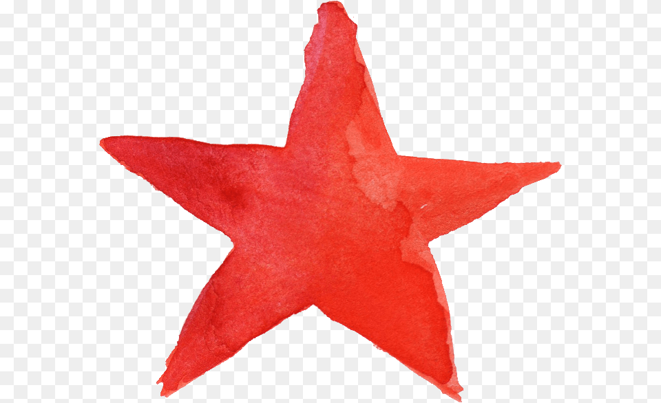 Watercolor Star Transparent Star Retro, Symbol, Star Symbol, Animal, Fish Free Png
