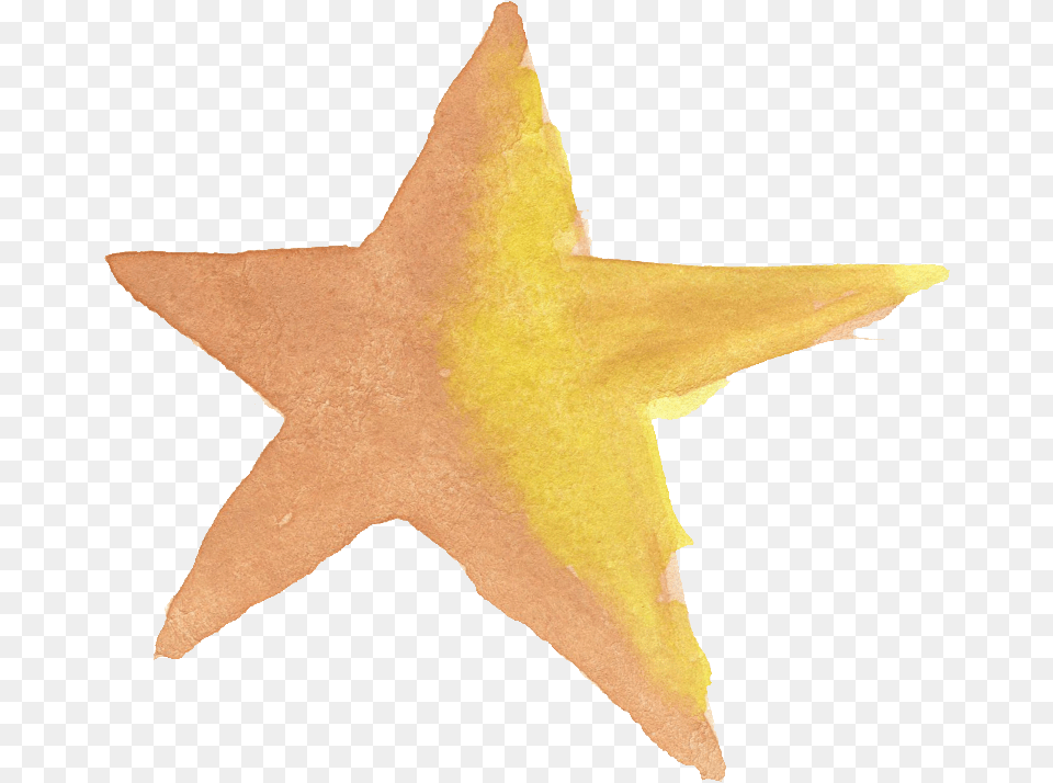 Watercolor Star Transparent Watercolor Star, Leaf, Plant, Star Symbol, Symbol Png Image