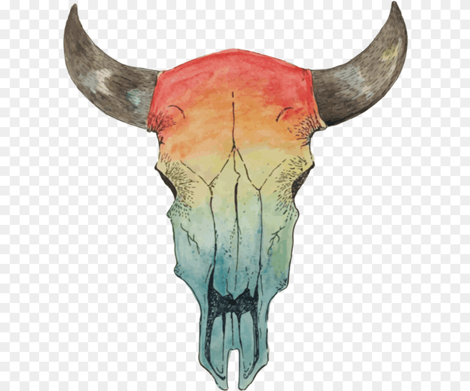 Watercolor Steer Bull, Animal, Mammal, Fish, Sea Life Free Transparent Png