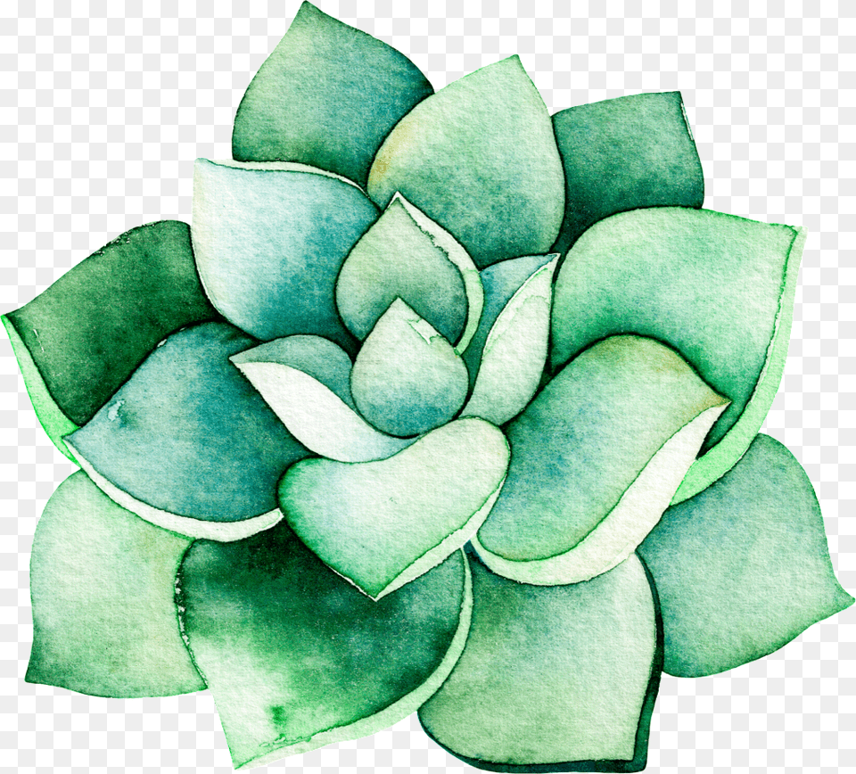 Watercolor Stereo Succulent Cartoon Transparent Watercolor Succulent Transparent Background, Art, Flower, Plant, Rose Free Png