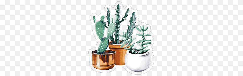 Watercolor Succulent Bouquet Sticker, Plant, Potted Plant, Jar, Planter Free Png