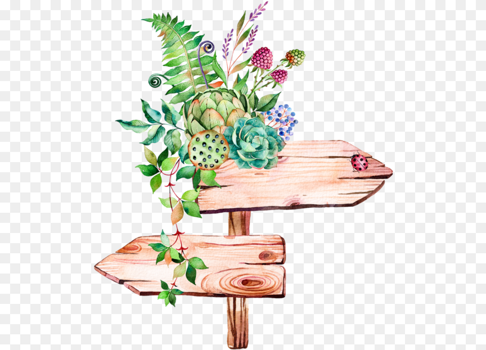 Watercolor Succulent Clipart, Wood, Plant, Pattern, Graphics Free Png