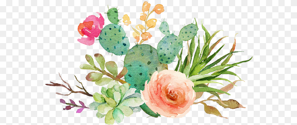 Watercolor Succulent Clipart Watercolor Cactus Background, Art, Pattern, Graphics, Floral Design Free Png Download