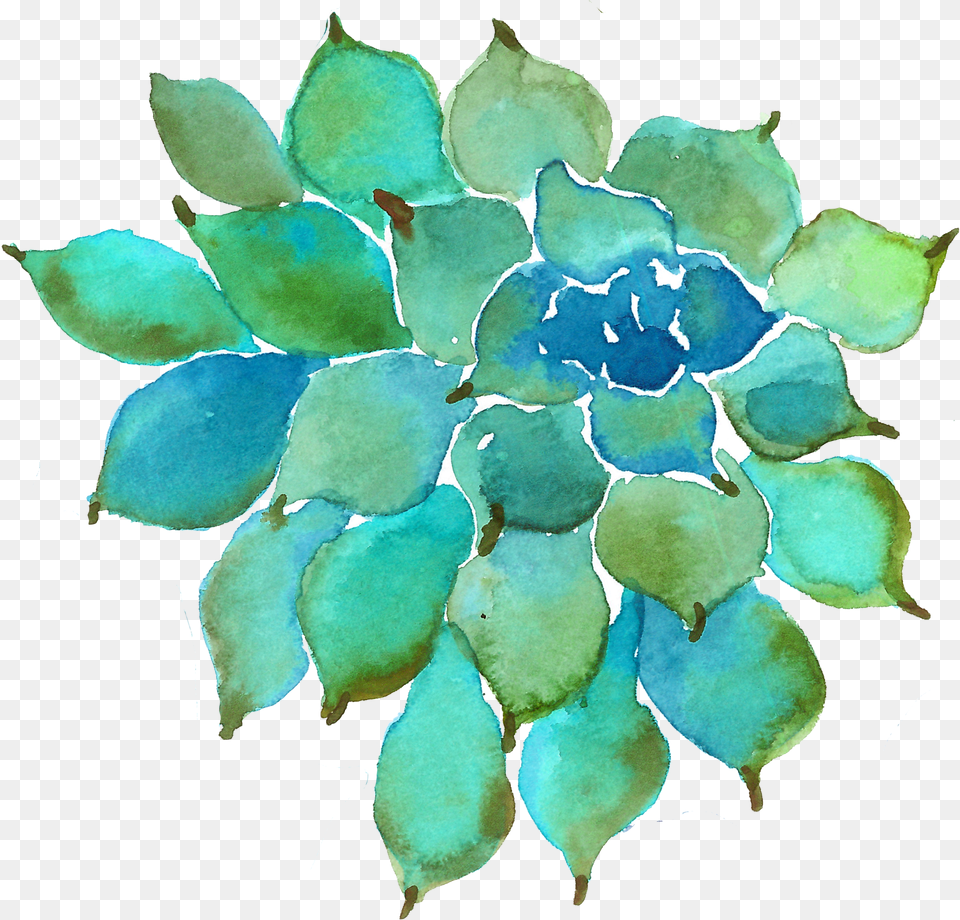 Watercolor Succulent Image Free Transparent Png