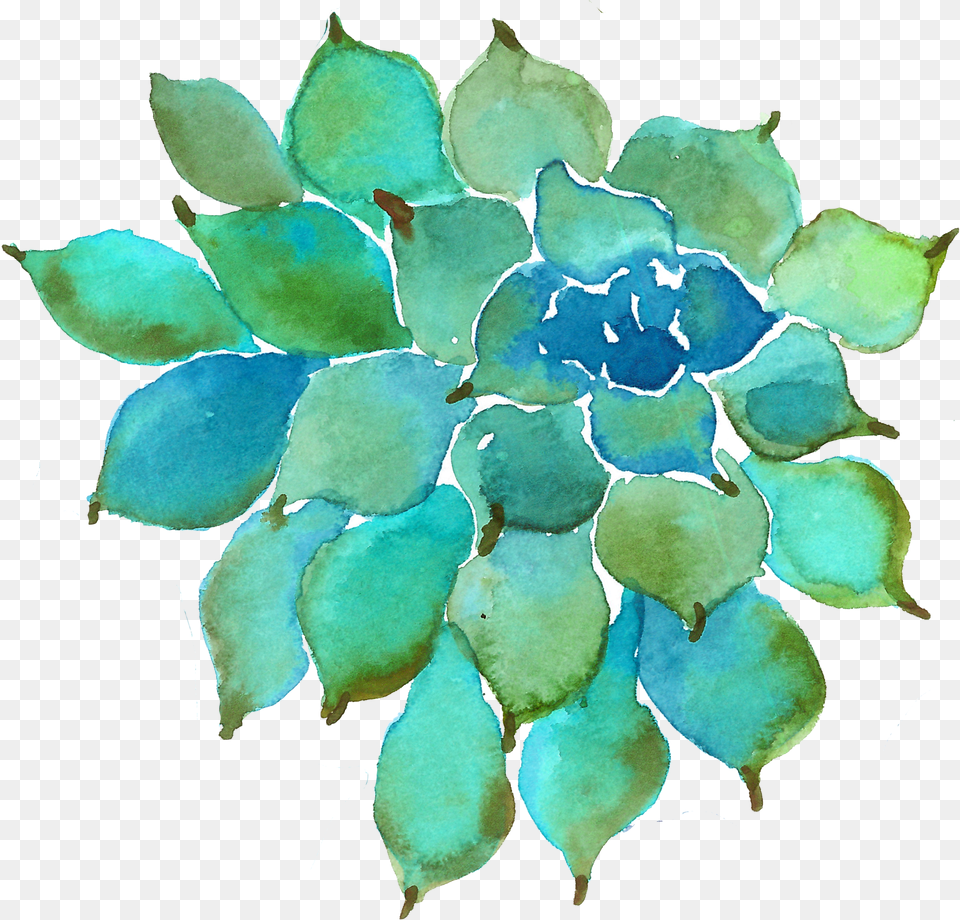 Watercolor Succulent Suculentas En Acuarela, Machine, Spoke, Motorcycle, Transportation Png Image