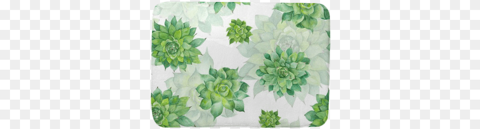 Watercolor Succulent Pattern On White Background Bath Gallery Direct Watercolor Succulent Pattern By Kisika, Home Decor, Art, Floral Design, Graphics Free Png
