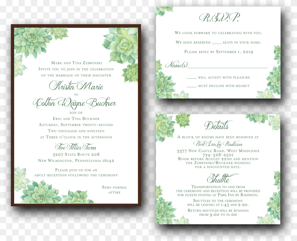 Watercolor Succulents Wedding Invitation Set, Advertisement, Poster, Plant, Text Png