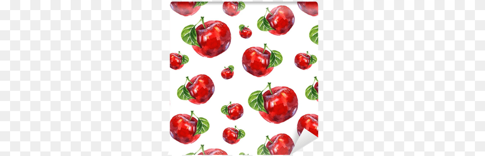 Watercolor Summer Insulated Red Apple Pattern Wallpaper Pinpix Decorative Bulletin Boards 24x16 With Satin, Food, Fruit, Plant, Produce Free Png