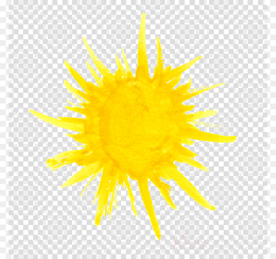 Watercolor Sun, Flower, Plant, Sunflower, Pollen Png