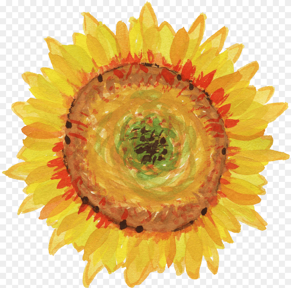 Watercolor Sunflower Girasol Acuarela, Flower, Plant, Petal Free Transparent Png