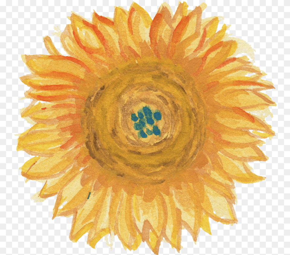Watercolor Sunflower Transparent Sunflower, Flower, Plant, Rose, Home Decor Free Png Download