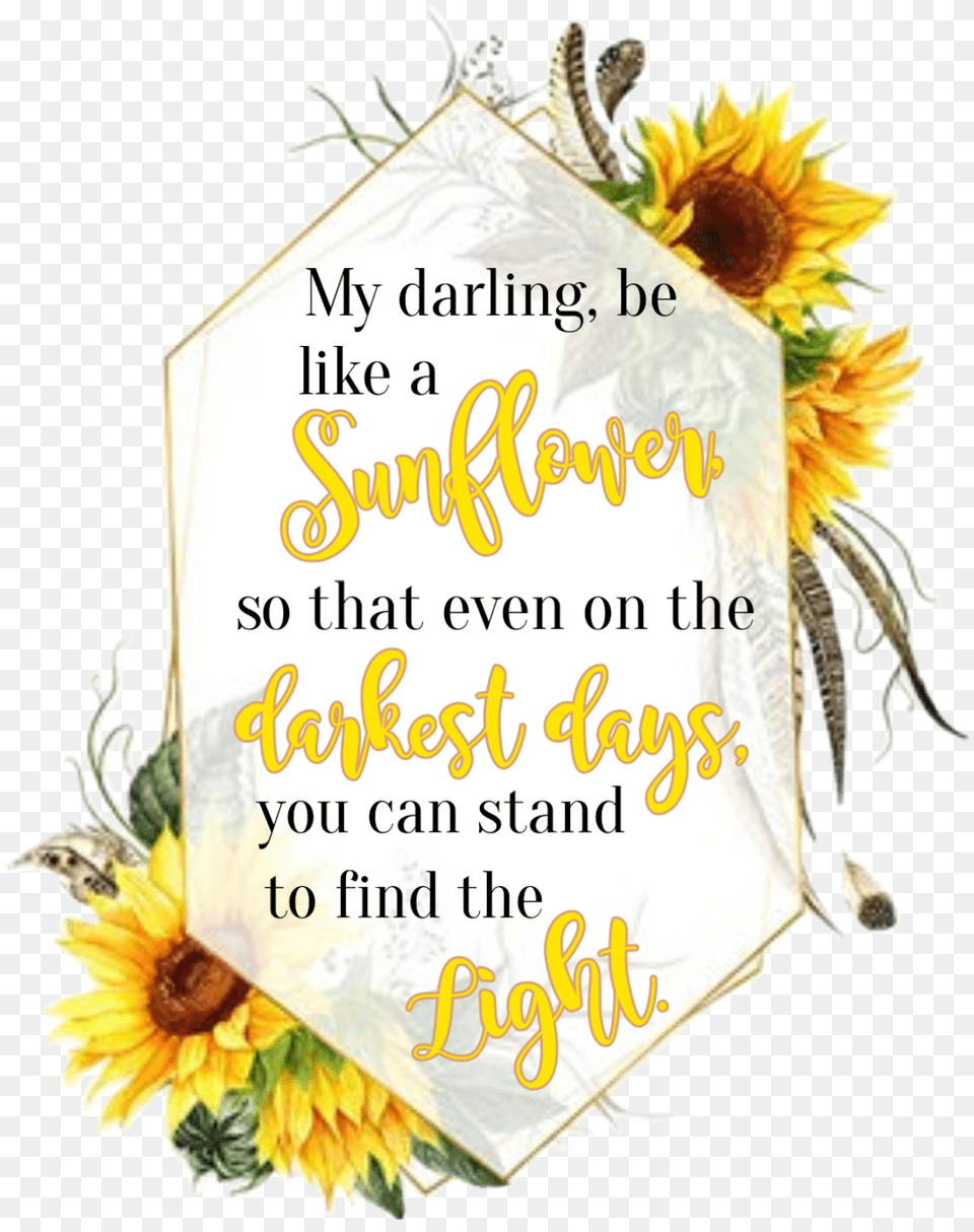 Watercolor Sunflowers Floral Frame Geometric Quote Word Sunflower, Envelope, Flower, Greeting Card, Mail Free Transparent Png