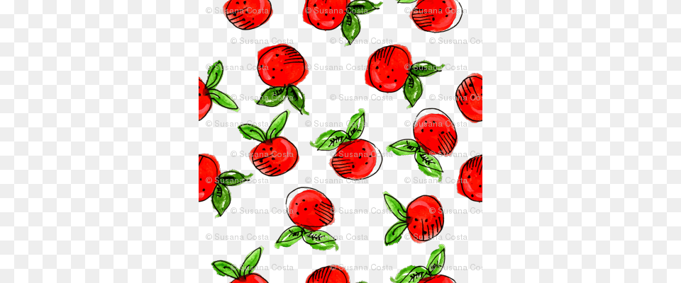 Watercolor Tangerine White, Berry, Food, Fruit, Plant Free Png