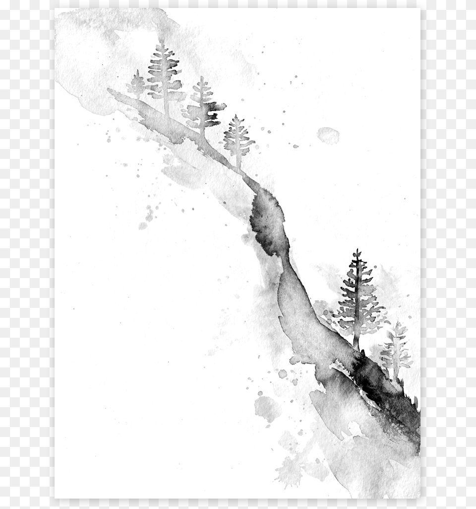 Watercolor Tattoo Black And White Tree, Fir, Plant, Art, Drawing Png Image