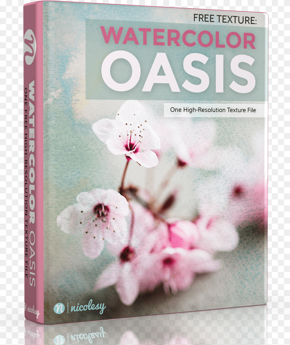 Watercolor Texture Cherry Blossom, Book, Publication, Flower, Plant Png Image