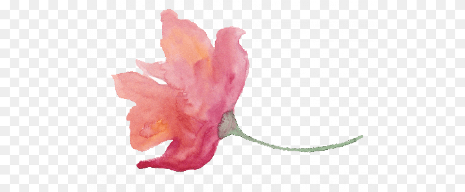 Watercolor Texture Watercolor Paint, Anther, Flower, Leaf, Petal Free Transparent Png