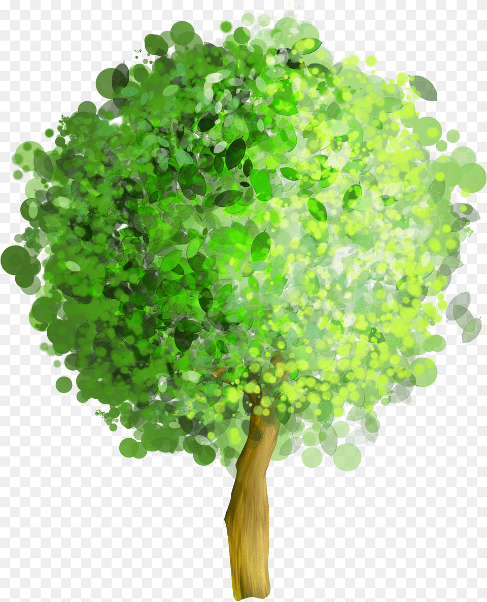 Watercolor Tree Png Image