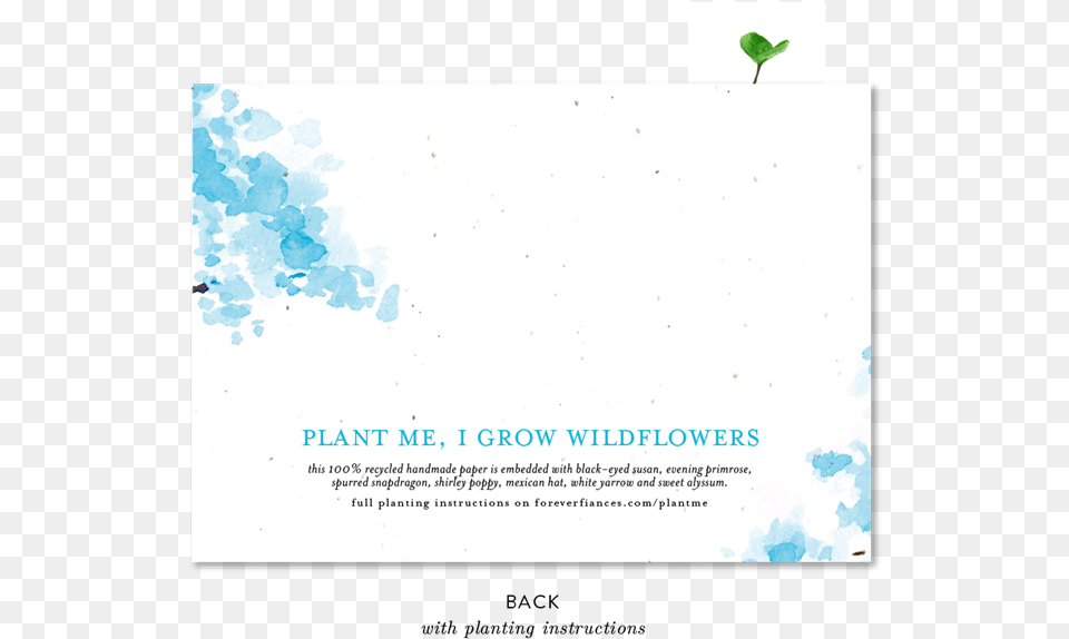 Watercolor Tree, Advertisement, Poster, Leaf, Plant Png