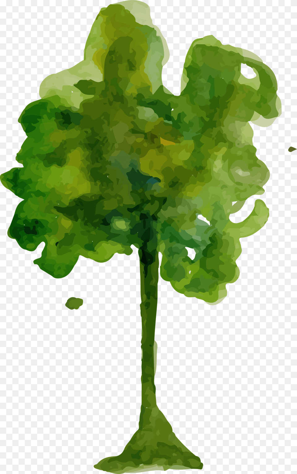 Watercolor Tree, Green, Plant, Vegetation, Art Png Image