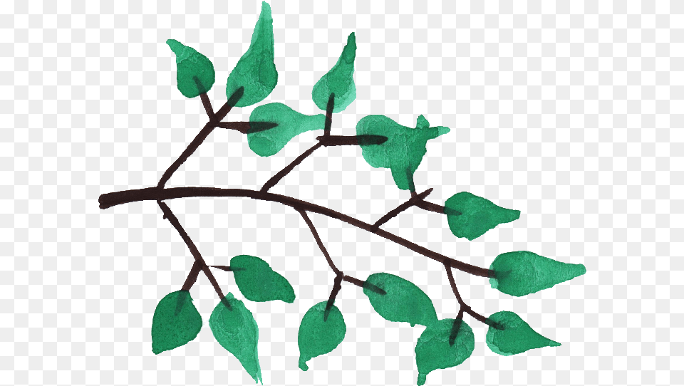Watercolor Tree Branches Transparent Background Tree Branch, Leaf, Plant, Vine, Grass Free Png