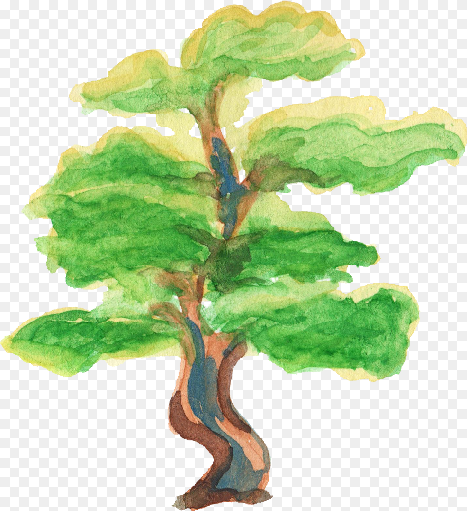 Watercolor Tree Oak, Art, Painting, Plant, Animal Free Png