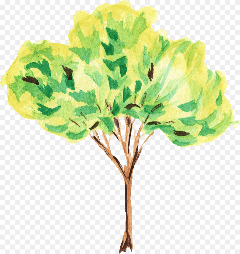 Watercolor Tree Background, Art, Plant, Painting, Leaf Free Transparent Png