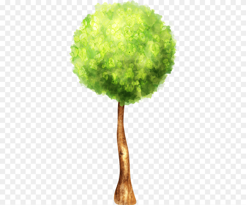 Watercolor Tree Transparent Clip Art, Plant, Lamp Png