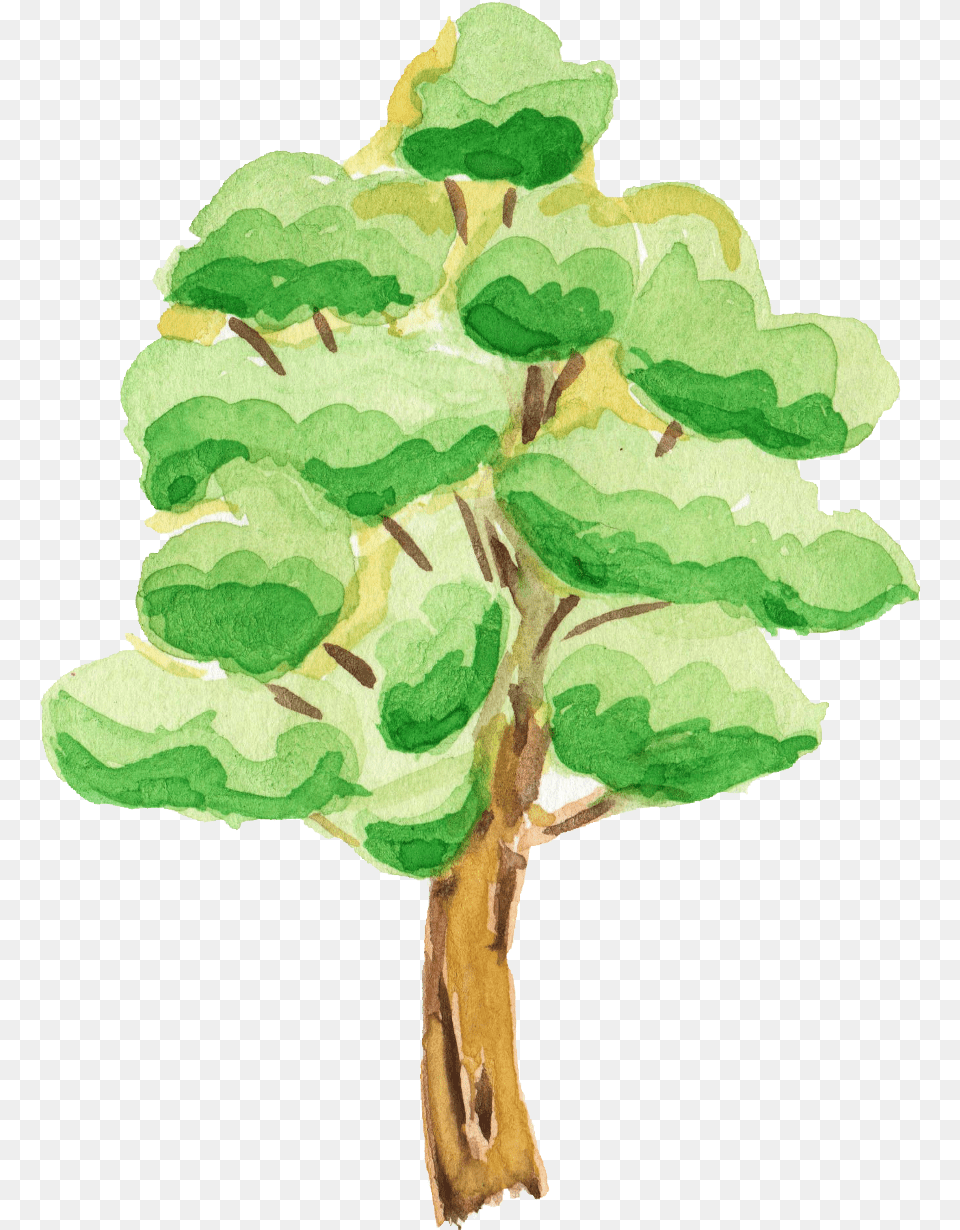 Watercolor Tree Transparent Transparent Background Tree Cartoon, Green, Plant, Leaf, Oak Png Image