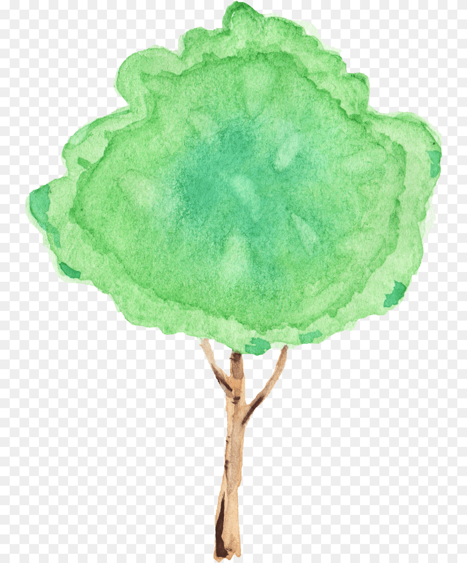 Watercolor Tree Transparent Tree, Leaf, Plant, Accessories, Gemstone Free Png