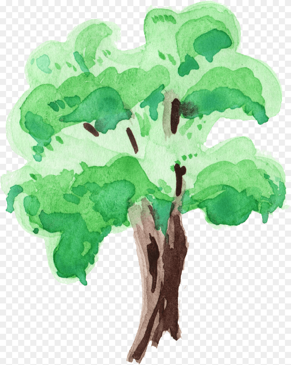 Watercolor Tree Water Paint Tree, Green, Plant, Art, Painting Free Transparent Png