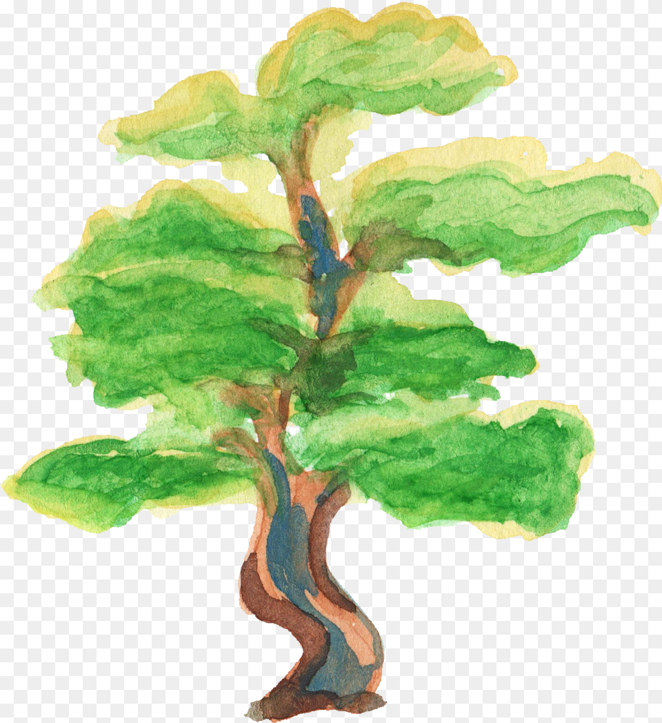 Watercolor Tree Transparent Watercolor Painting, Plant, Green, Oak, Sycamore Png Image
