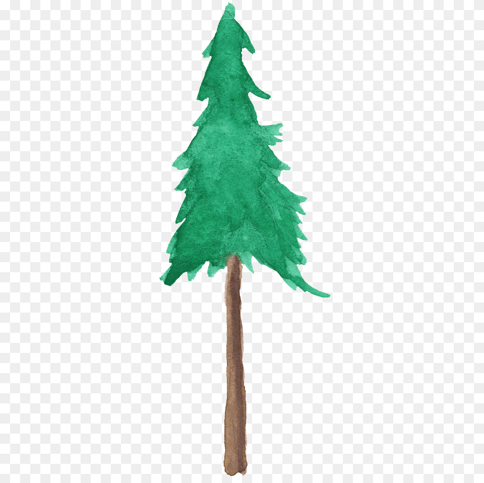 Watercolor Trees Christmas Tree, Plant, Clothing, Coat, Fir Png