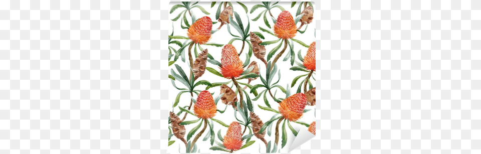 Watercolor Tropical Australian Vector Pattern Wall Watercolor Painting, Art, Embroidery, Floral Design, Graphics Free Png Download