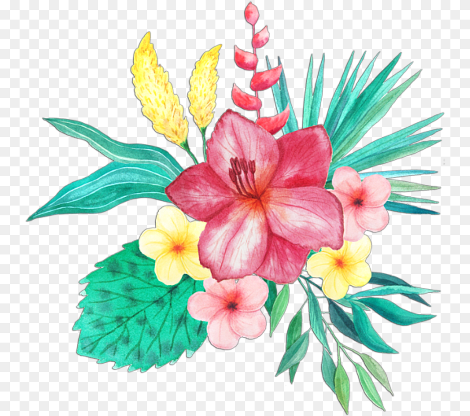 Watercolor Tropical Flower, Plant, Art, Flower Arrangement, Floral Design Free Transparent Png