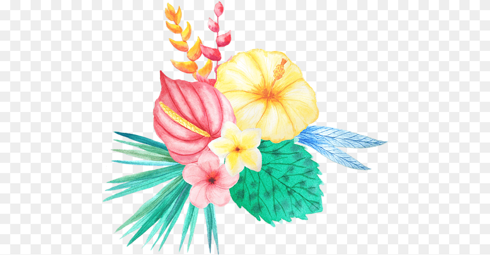 Watercolor Tropical Flowers Clipart, Flower, Plant, Flower Arrangement, Art Free Transparent Png