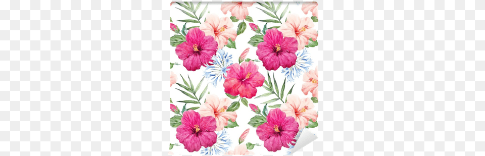 Watercolor Tropical Hibiscus Pattern Wall Mural Pixers Mea Latvieu, Flower, Plant Png