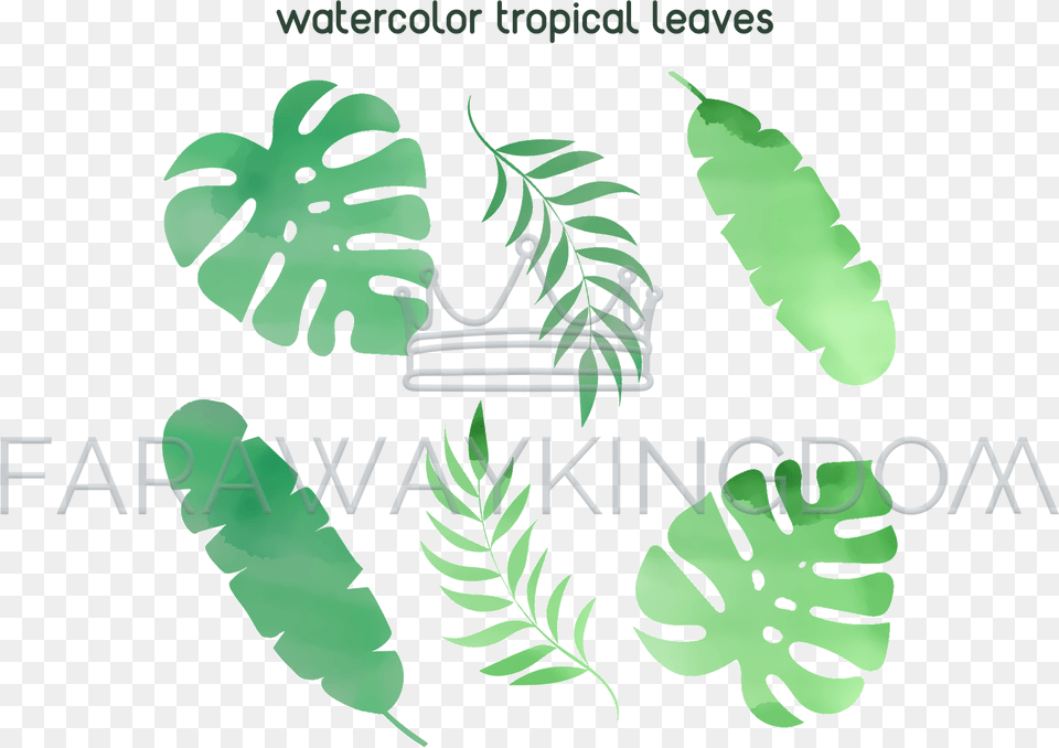 Watercolor Tropical Leaf Summer Vector Illustration Set Illustration, Plant, Vegetation, Fern, Herbal Png