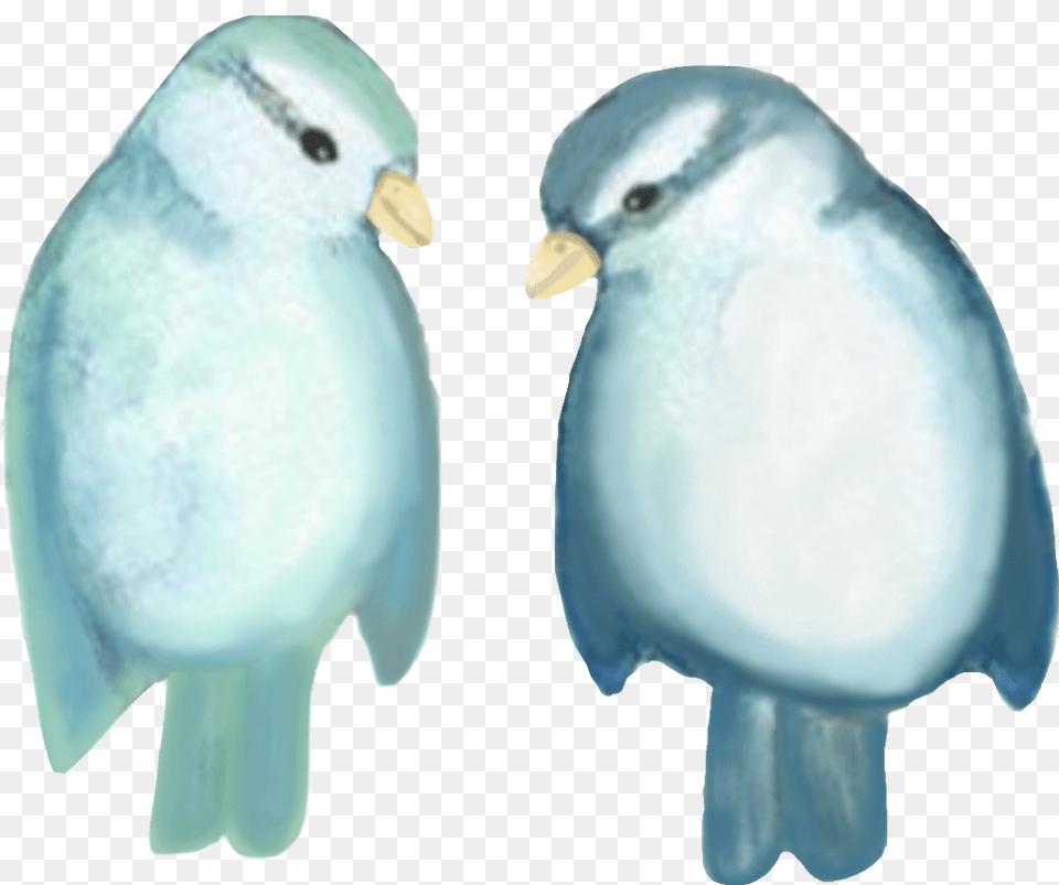 Watercolor Two Bird Blue, Animal, Beak, Jay Free Transparent Png