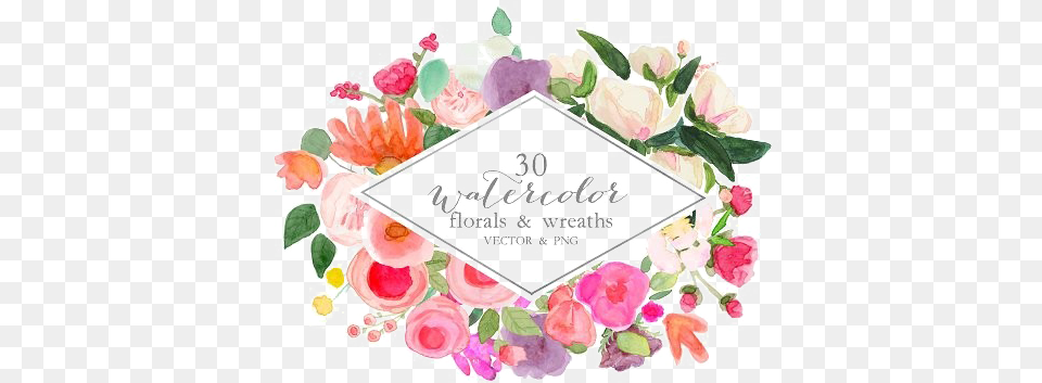 Watercolor Vector Image With Transparent Background Garden Roses, Art, Pattern, Graphics, Floral Design Free Png