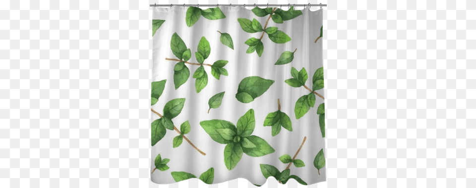 Watercolor Vector Seamless Pattern Hand Drawn Herb Placemat, Curtain, Plant, Shower Curtain, Leaf Free Transparent Png