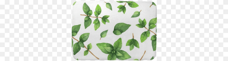 Watercolor Vector Seamless Pattern Hand Drawn Herb Watercolor Painting, Leaf, Plant, Herbal, Herbs Png
