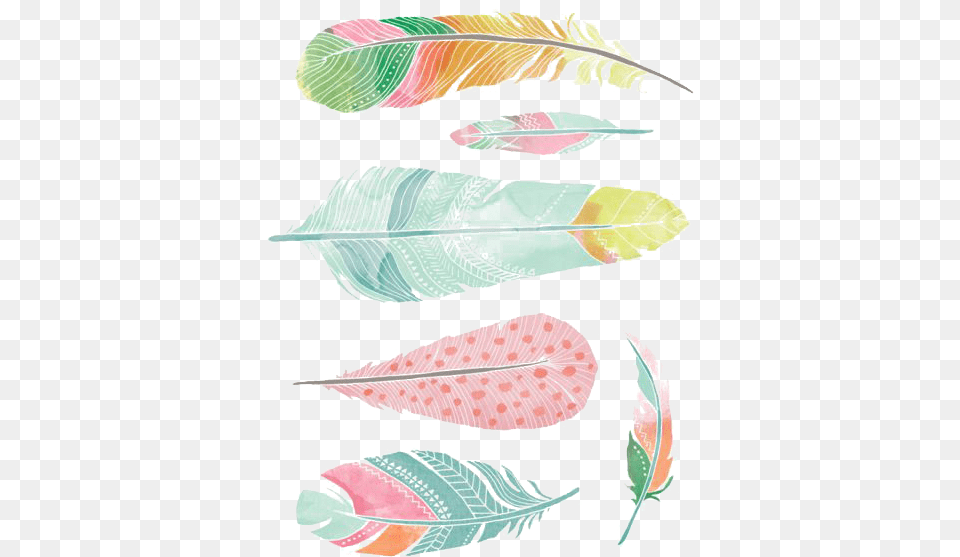 Watercolor Wallpaper Feathers, Leaf, Plant, Art, Graphics Free Transparent Png