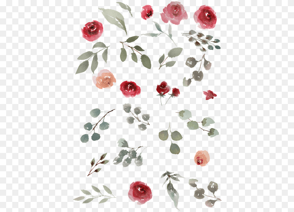 Watercolor Watercolor Roses Green Leaves Leaves Small Watercolor Florals, Pattern, Flower, Plant, Rose Free Png