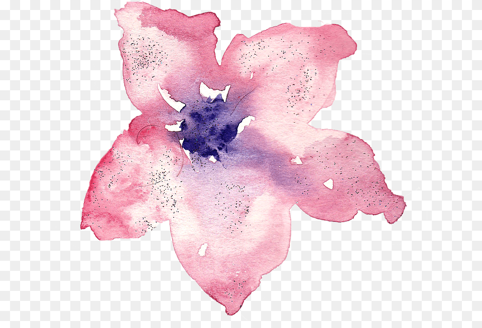 Watercolor Watercolour Lily Flower Rose Art Transparent Background Watercolor, Plant, Petal, Anemone, Person Free Png Download