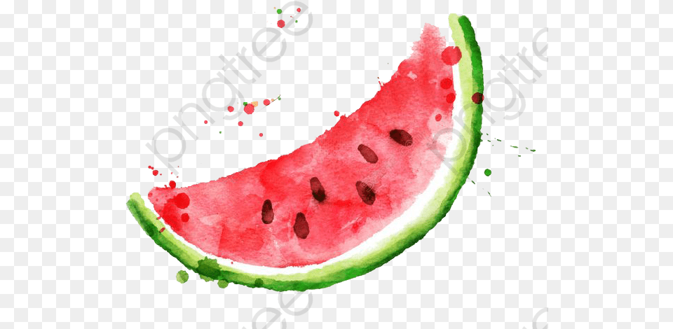 Watercolor Watermelon Slice, Food, Fruit, Plant, Produce Png Image