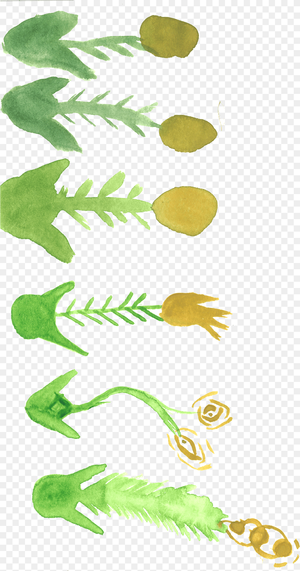 Watercolor Weirdness All Images Are Free For Personal Frog, Cutlery, Plant, Green, Leaf Png Image
