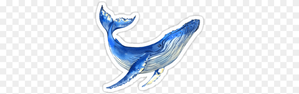 Watercolor Whale Sticker Watercolor Whale Sticker, Animal, Mammal, Sea Life, Fish Free Transparent Png