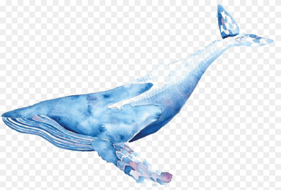 Watercolor Whale Transparent Whale Watercolor, Animal, Mammal, Sea Life, Fish Free Png Download