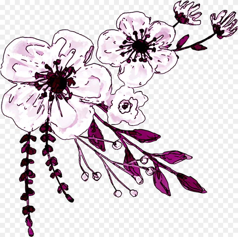 Watercolor White Flower Clipart Vivieron Felices Por Siempre, Plant, Cherry Blossom, Person, Art Free Png