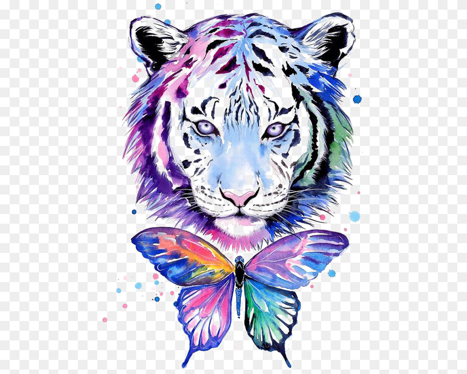Watercolor White Tiger Tiger Art, Person, Graphics, Animal, Wildlife Free Png Download
